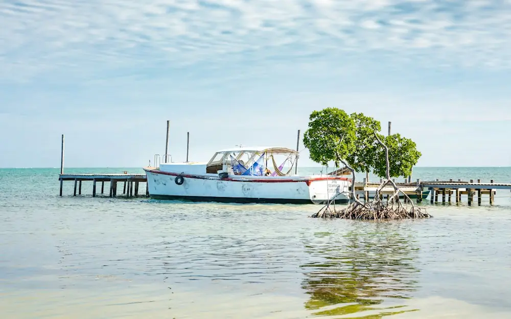 white boat