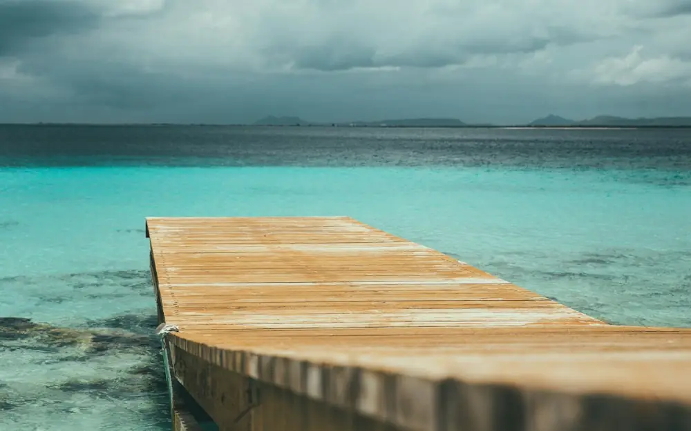 brown wooden dock