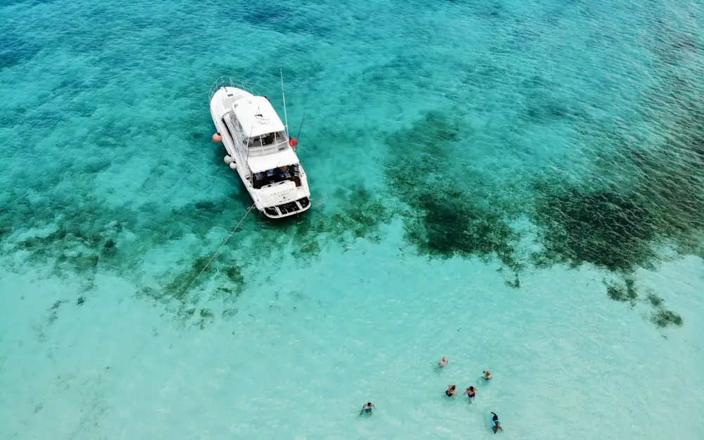 bird's-eye photography of people near white boat