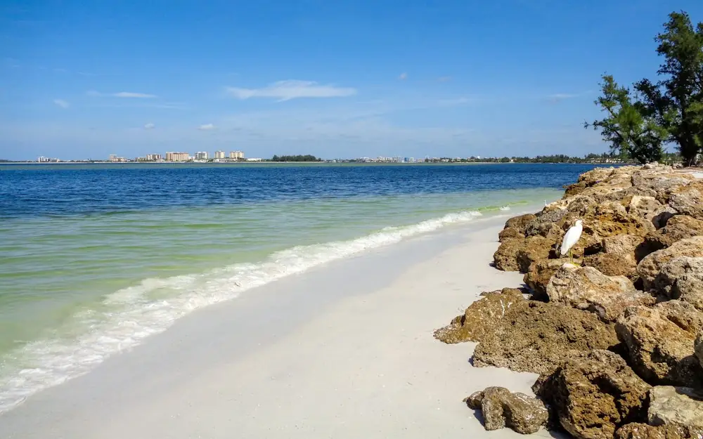 a view of a beach and the ocean from the shore