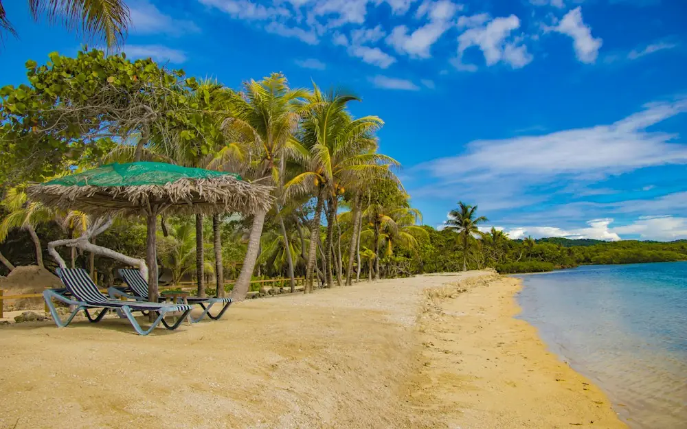 brown wooden beach lounge chair near palm trees under blue sky during daytime